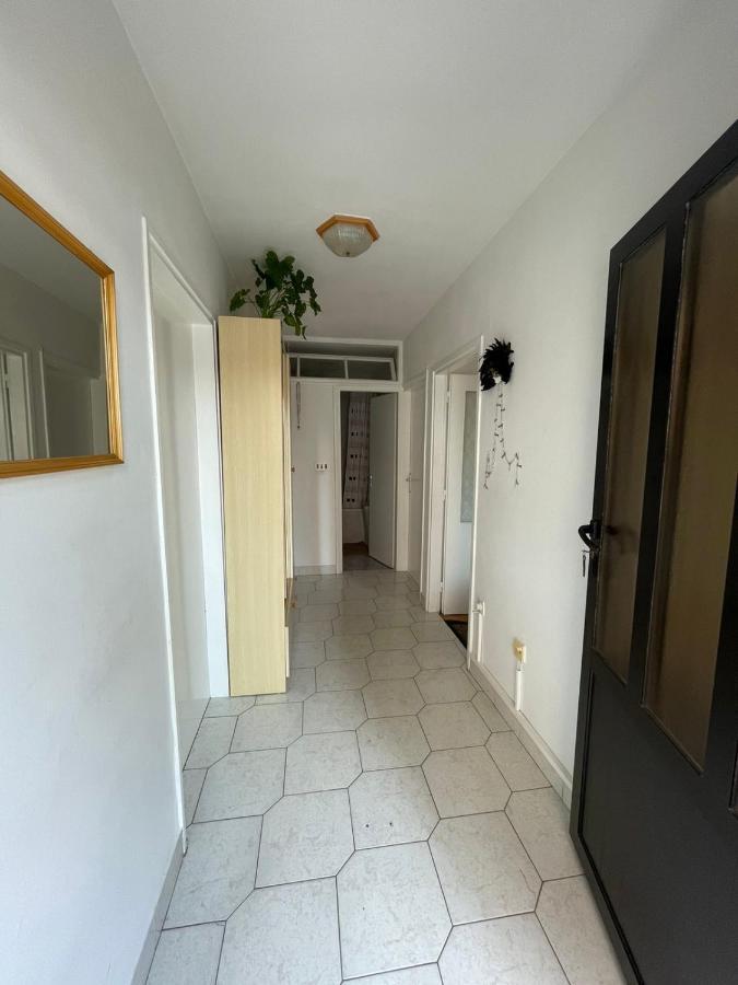 Apartman Renata Цриквеница Экстерьер фото
